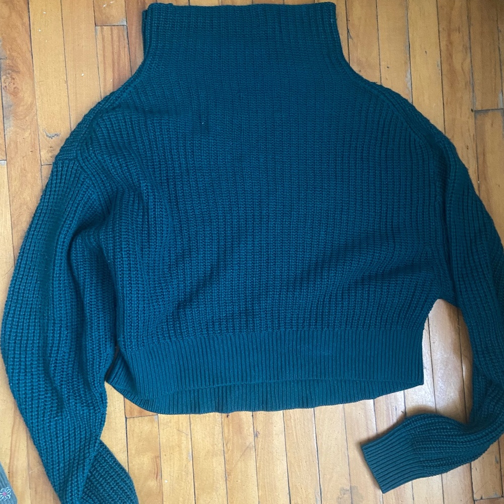 Montpellier cropped mock neck sweater from Aritzia in Scarab